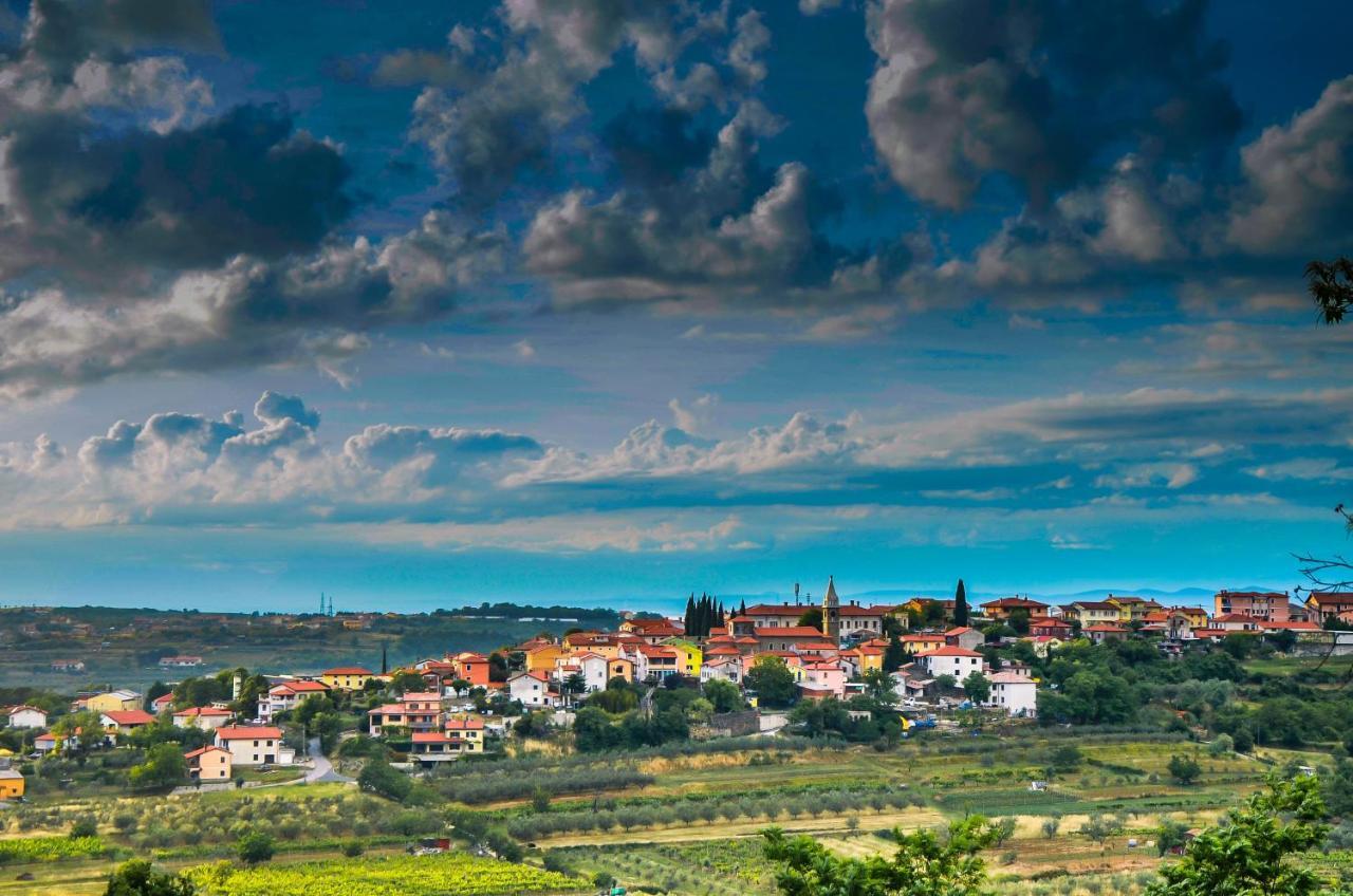 Wine & Apartment Vinales Koper városi község Kültér fotó