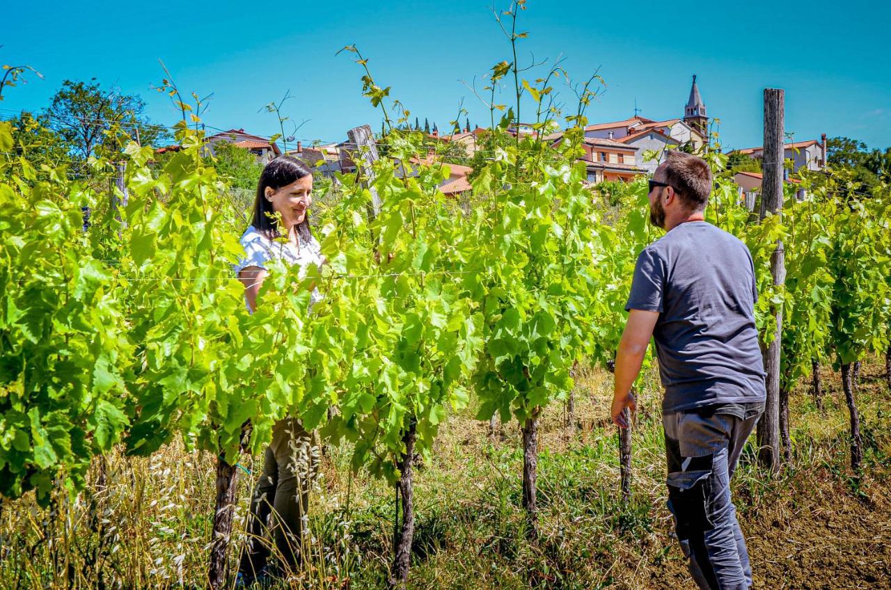 Wine & Apartment Vinales Koper városi község Kültér fotó